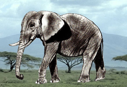 Слон как нарисовать