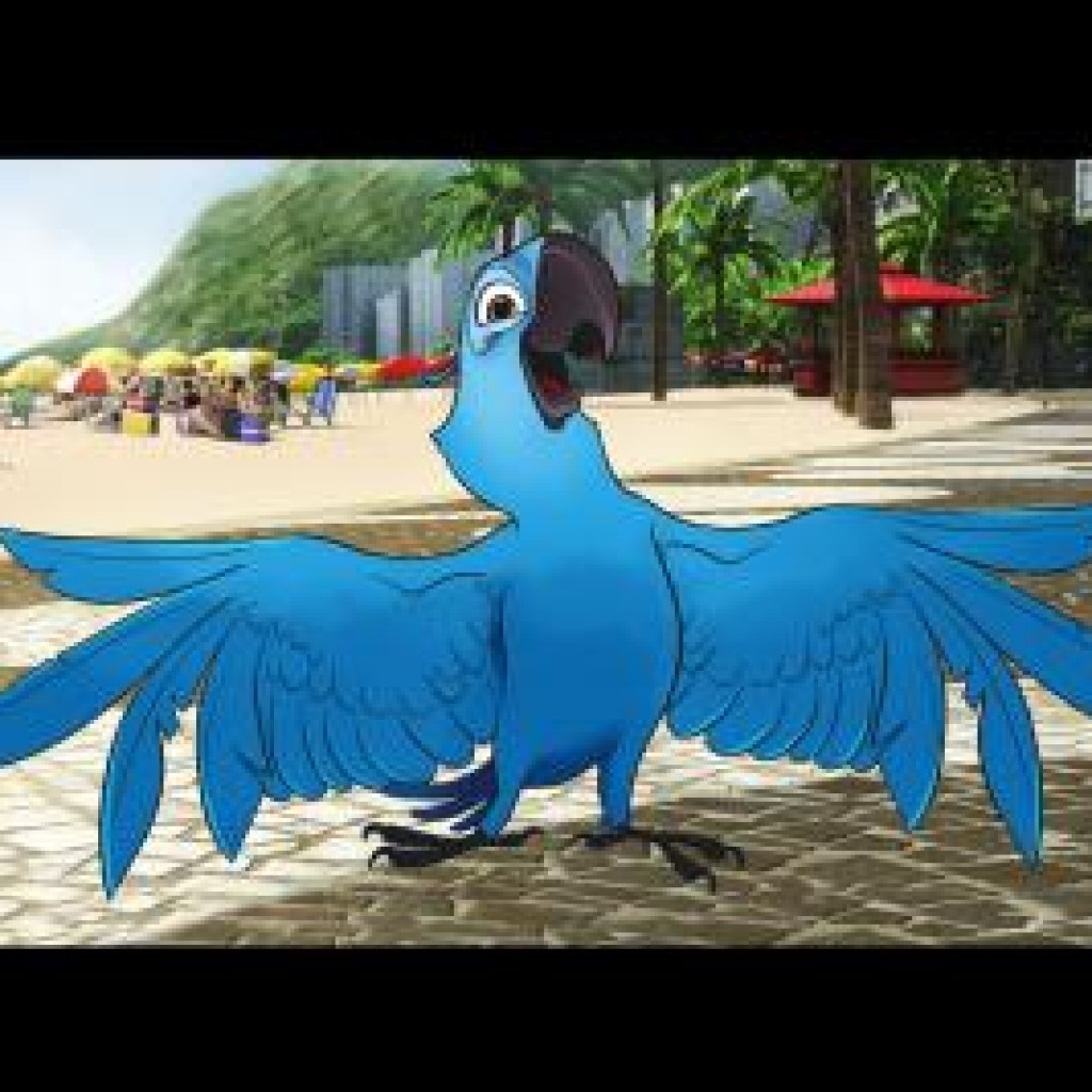 Голубчик попугай из Рио