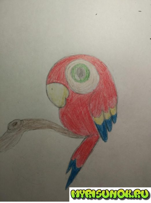 Как нарисовать попугая поэтапно