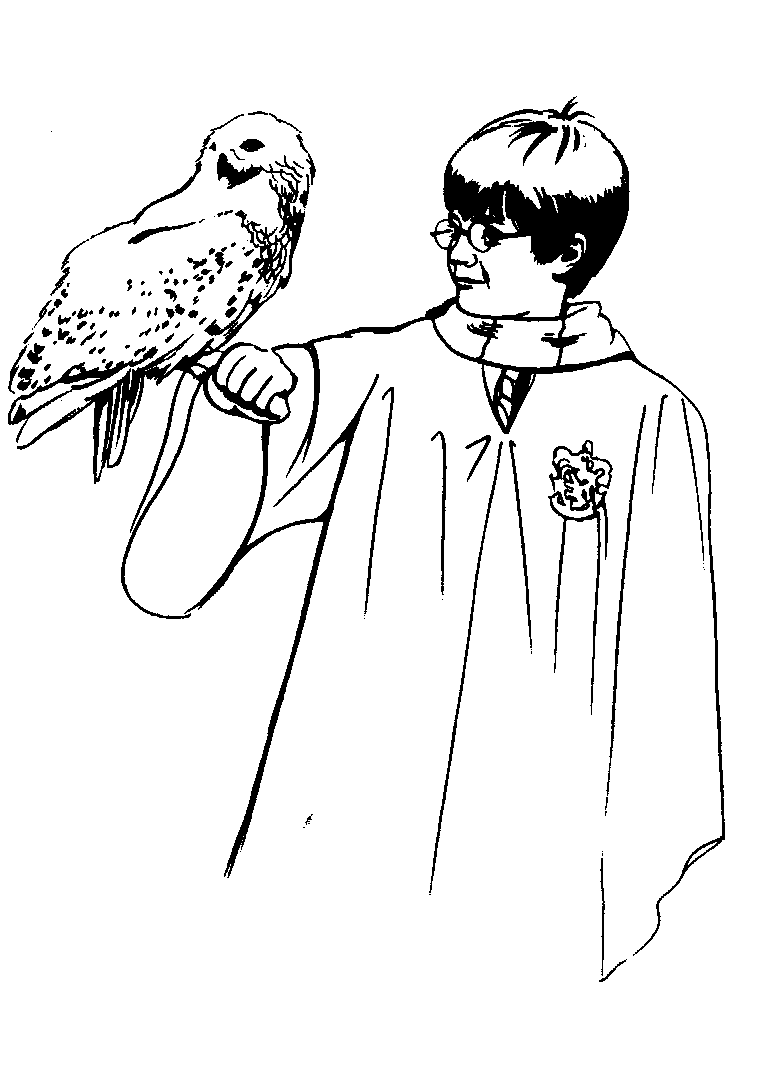 Раскраска Гарри Поттер 8